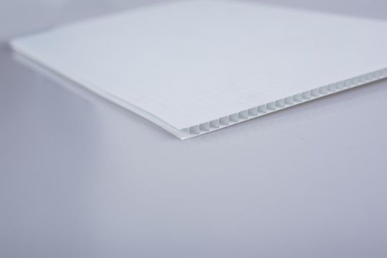 White Corrugated Plastic Sheet 4mm PP Board Sheet Customized