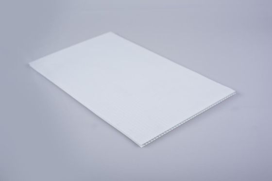 White Corrugated Plastic Sheet 4mm PP Board Sheet Customized