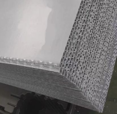 Customized Plastic Corrugated Sheet 2mm PP Honeycomb Panel Waterproof Good Bearing