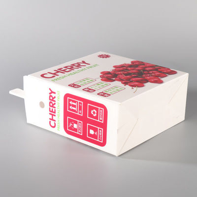 Eco Friendly Fruit Packing Boxes White Fruit Shipping Boxes Impact Resistant