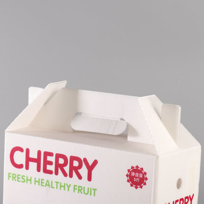 Eco Friendly Fruit Packing Boxes White Fruit Shipping Boxes Impact Resistant
