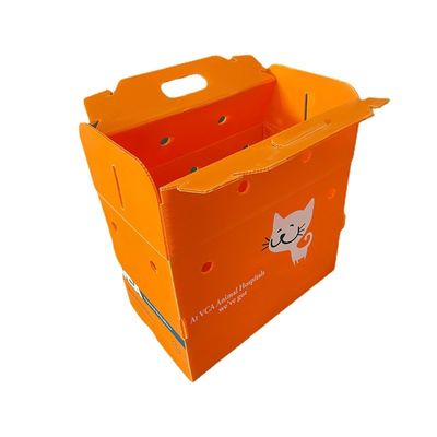 Orange Corrugated Plastic Box Waterproof Corrugated Plastic Shipping Boxes
