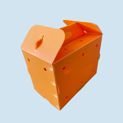 Orange Corrugated Plastic Box Waterproof Corrugated Plastic Shipping Boxes