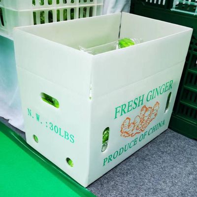 Cajas de embalaje de verduras reutilizables Cajas plegables de hoja ondulada personalizadas