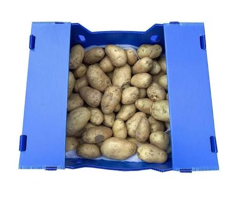 Rectangular PP Corrugated Sheet Box Recyclable Foldable Plastic Box Blue