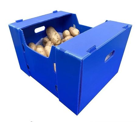 Rectangular PP Corrugated Sheet Box Recyclable Foldable Plastic Box Blue
