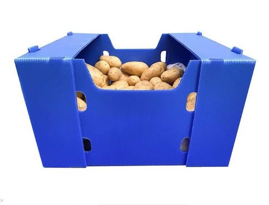 Rectangular PP Corrugated Sheet Box Recyclable Foldable Plastic Box Blue