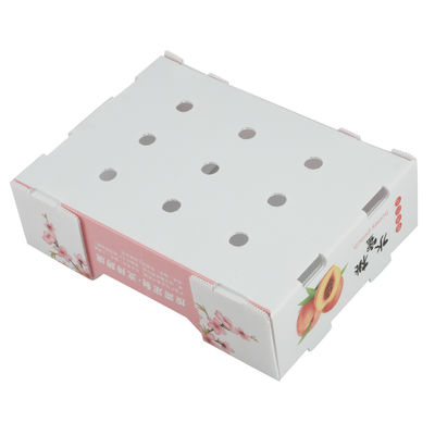 White Plastic Corrugated Containers Shockproof Corrugated Storage Containers For Fruit Vegetable