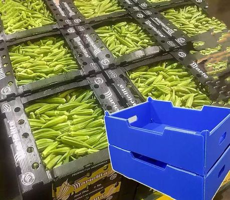Impact Resistant Plastic Shipping Box Reusable Vegetable Shipping Boxes Lightweight