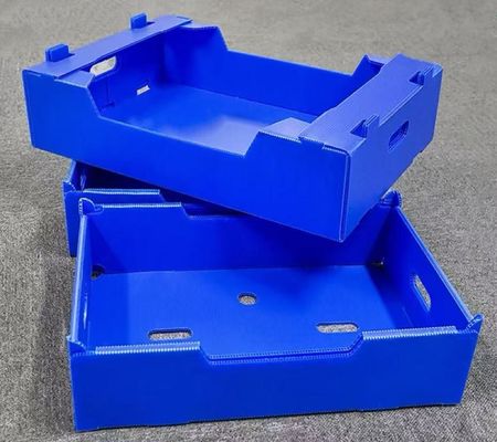 Impact Resistant Plastic Shipping Box Reusable Vegetable Shipping Boxes Lightweight