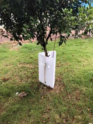 3mm Plastic Corrugated Signs Tree Guard PP Hollow Sheet UV Resistant