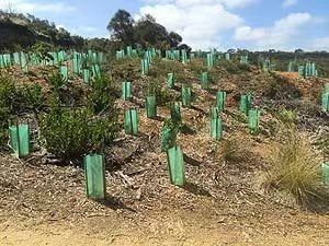 3mm Plastic Corrugated Signs Tree Guard PP Hollow Sheet UV Resistant