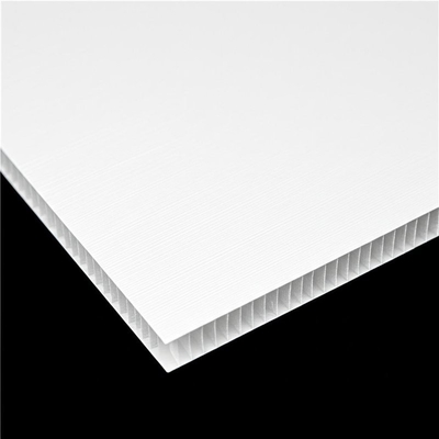 Customizable Polypropylene Hollow Sheet for Excellent Impact Resistance Performance