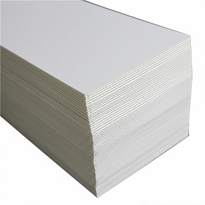 Recyclable and Environmentally Friendly Polypropylene Hollow Sheet Customizable for Printing Format