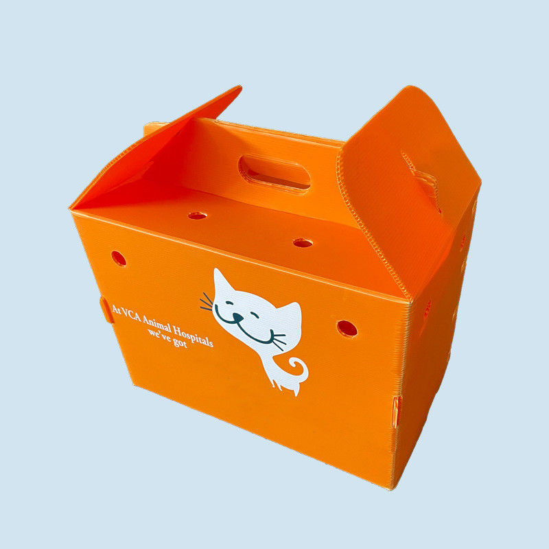 Orange Corrugated Plastic Box Waterproof Corrugated Plastic Shipping Boxes