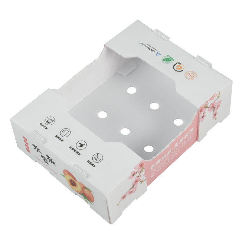 White Plastic Corrugated Containers Shockproof Corrugated Storage Containers For Fruit Vegetable